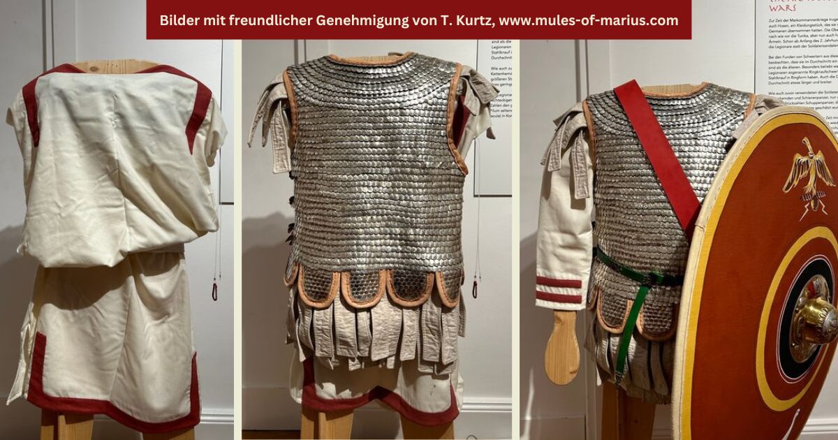 Bilder_mit_freundlicher_Genehmigung_von_T__Kurtz__www_mules-of-marius_de_1_.jpg